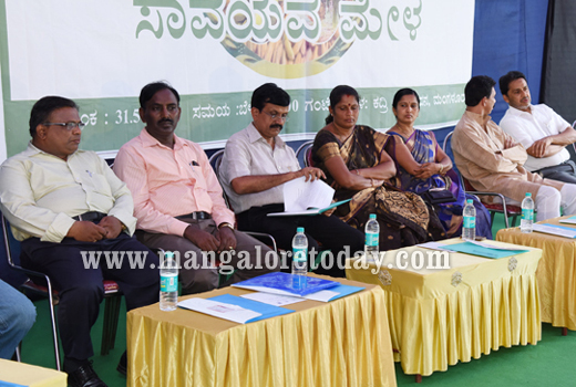 avayava Mela and Expo  1